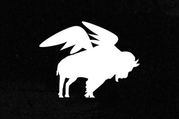 BUFFALO WINGS