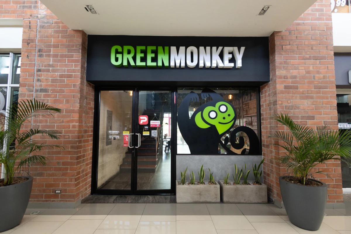 GREEN MONKEY